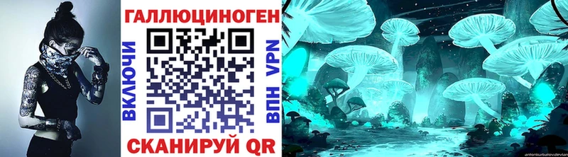 цены   Шумиха  Псилоцибиновые грибы мухоморы 